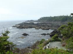 Along the Wild Pacific Trail, Ucluelet, BC
